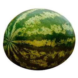 Watermelon Big (Weight around 2.5kg-3kg)